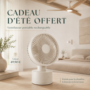 Brise Nomade Ventilateur portable